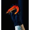 Black Tiger Prawns Cooked Whole U20 1kg (kg)